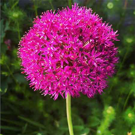 دانلود آهنگ دلم تنگ شده مصطفی بختیاری